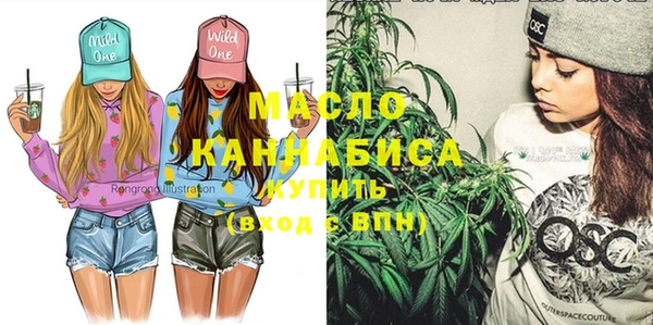 ешки Новодвинск