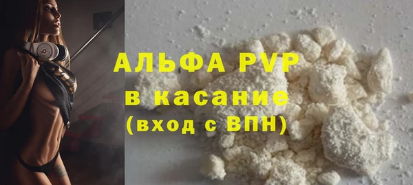 ешки Новодвинск