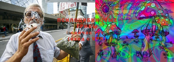 ешки Новодвинск