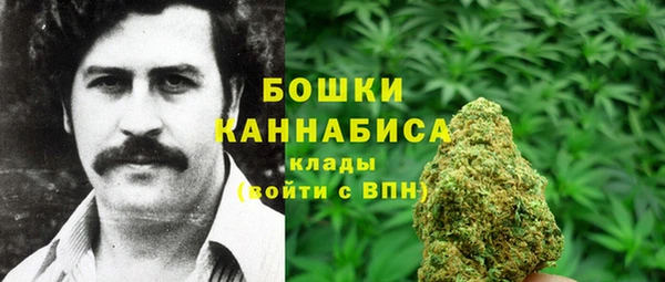 винт Новозыбков