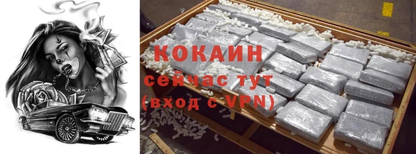 ешки Новодвинск