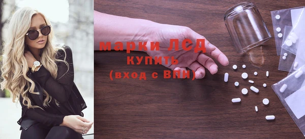 ешки Новодвинск