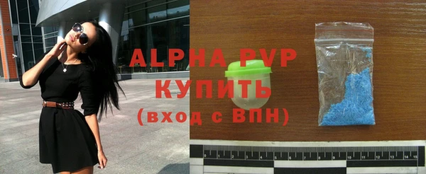 ешки Новодвинск