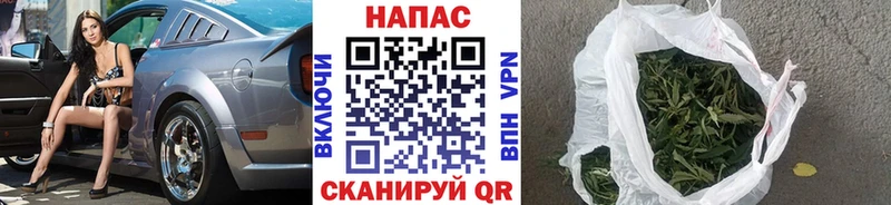 Марихуана конопля  Саров 